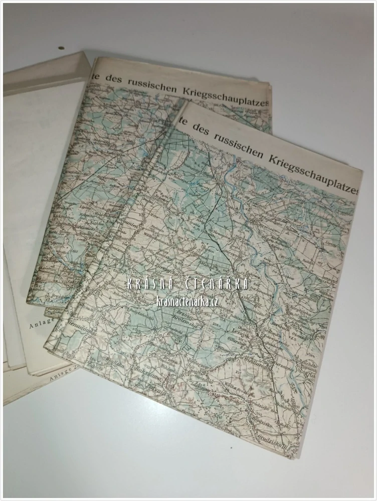 AUS MEINER DIENSTZEIT 190-1918, Vierter Band (Franz Conrad von Hötzendorf)