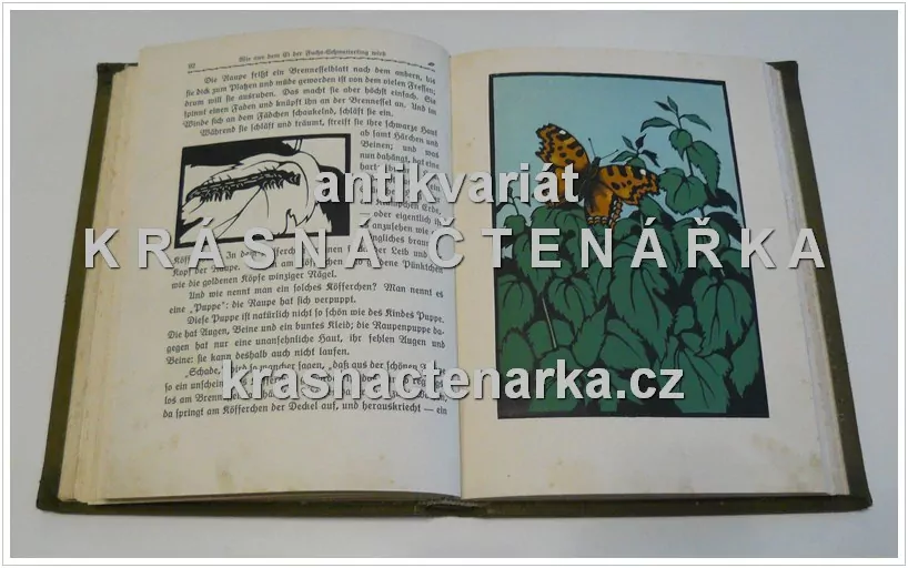 DIE GRÜNDORFER, Geschichten von Bauersleuten, Tieren und Blumen  für fünf- bis achtjährige Naturfreunde (Lerche Julius, il. Lang Fritz)