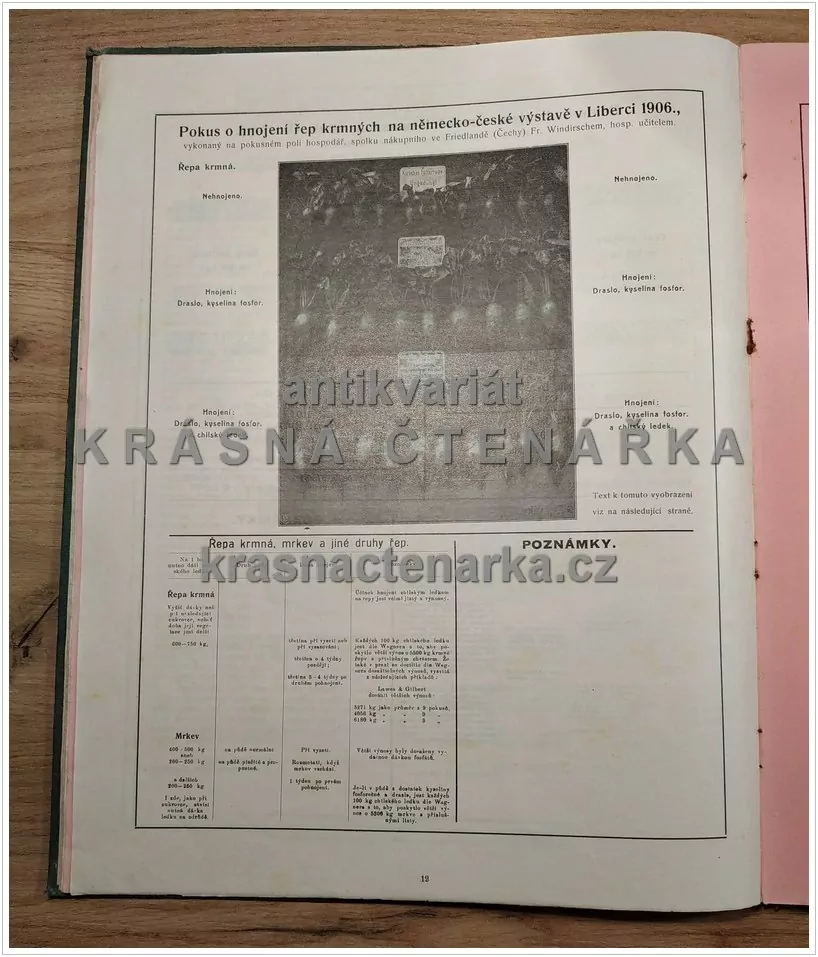 HNOJENÍ CHILSKÝM LEDKEM (reklamní brožura)