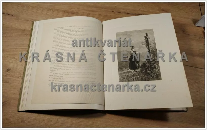 DER VOGT AUF MÜHLSTEIN (Eine Erzählung aus dem Schwarzwald) (Hansjakob Heinrich, il. Hafemann Wilhem)