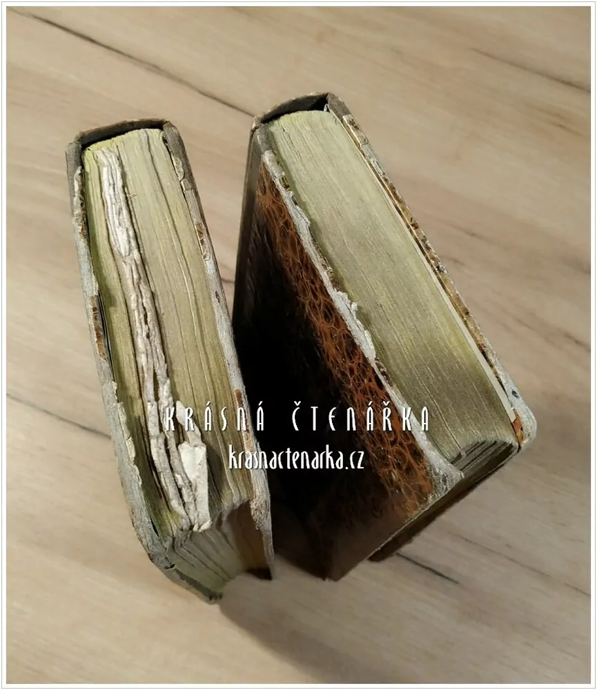 POPSÁNÍ ŽIWOTA A SKUTKŮ SWATÝCH A SWĚTIC BOŽÍCH (Dle Michala Ginzla a Františka Deinla ) ( Pohořelý M.)