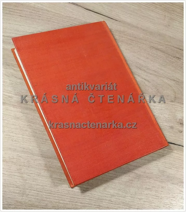 MIT HITLER IN DIE MACHT, persönliche Erlebnisse mit meinen Führer (Dietrich Otto)