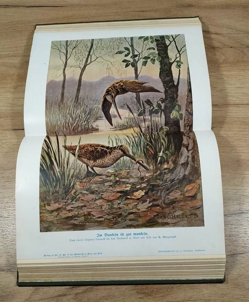 DAS WEIDWERK IN WORT UND BILD, Illustrierte jagdliche Unterhaltungsblätter zur "Deutschen Jäger-Zeitung", Siebzehnter Band 1907 / 1908