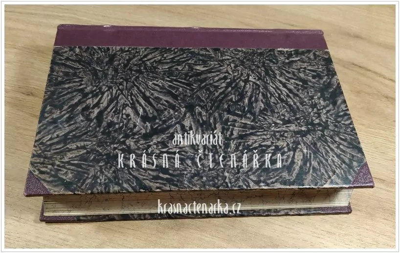 REICHENBERG IN DER ZEIT DER SELBSTVERWALTUNG vom Jahre 1850 bis 1900 (Liberec)