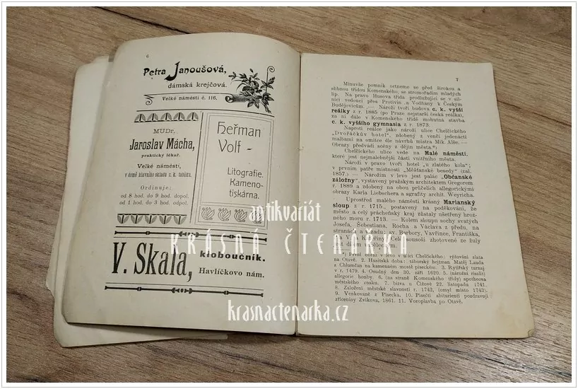 PRŮVODCE PO KRÁL. MĚSTĚ PÍSKU A JEHO OKOLÍ (Brandejs Bedřich)