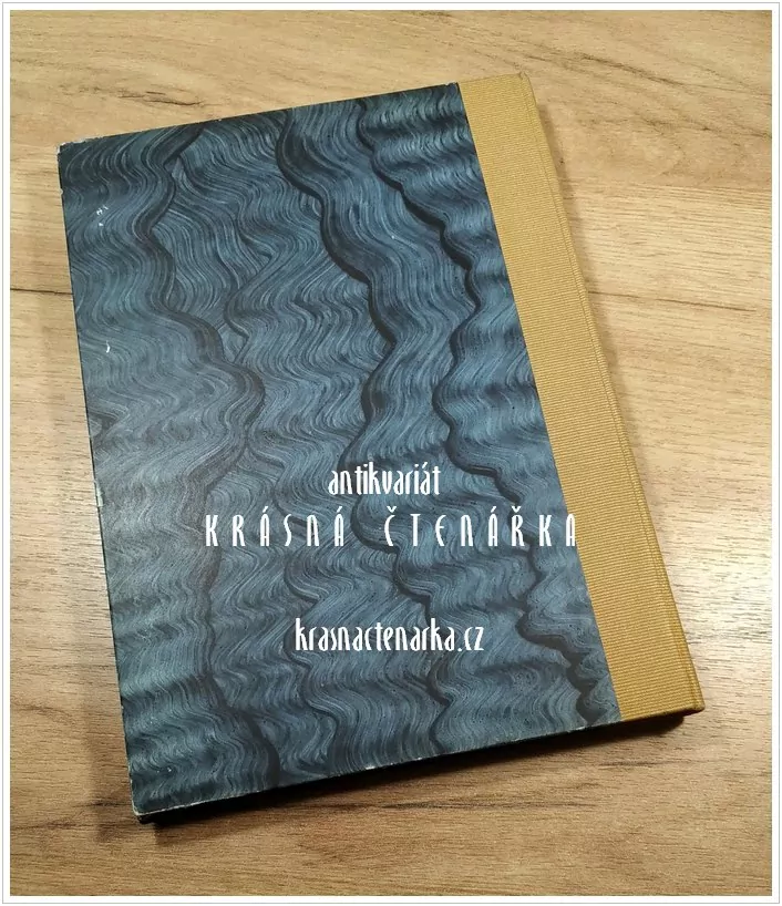 GESCHICHTE DER WIENER SCHRIFTGIESSEREIEN (Fritz Georg)