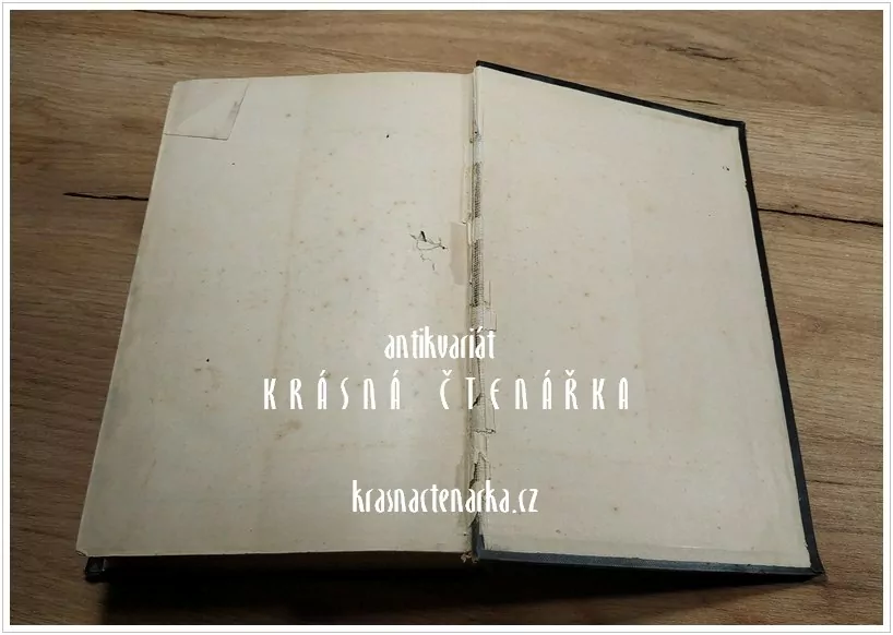 DIE BIBEL OBER DIE GANZE HEILIGE SCHRIFT DES ALTEN UN NEUEN TESTAMENTS  (překlad Luther Martin, 1893)