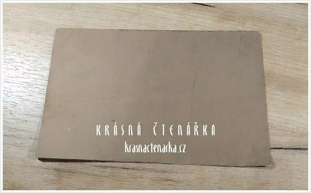 STANOVY SPOLKU "ČTENÁŘSKÁ BESEDA" V LITOMĚŘICÍCH