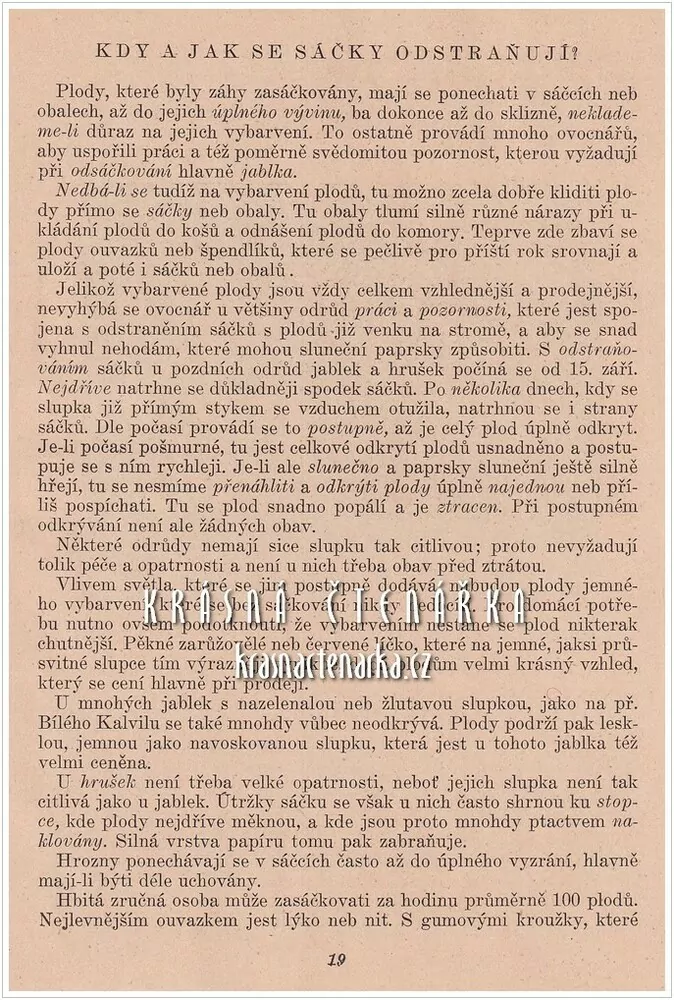 SÁČKOVÁNÍ OVOCE (Černík J. V.)