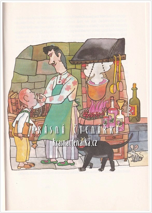 O HEŘMÁNKOVÉ VÍLE A ČARODĚJNICKÉM UČEDNÍKU (Kubátová Marie, il. Jágr Miloslav)