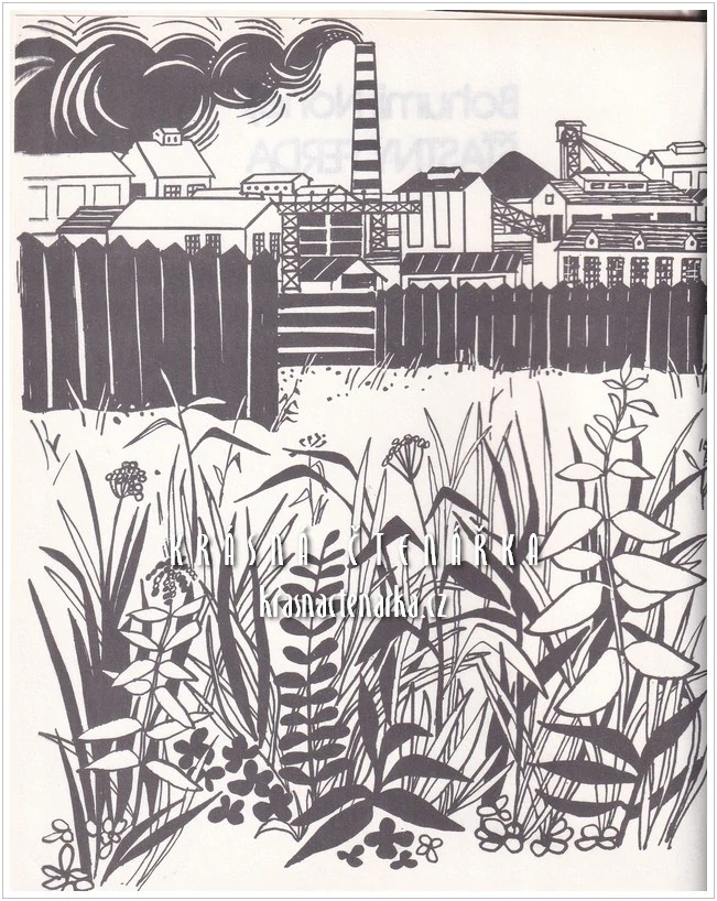 ŠŤASTNÝ FERDA (Nohejl Bohumil, il. Rokytová Helena)