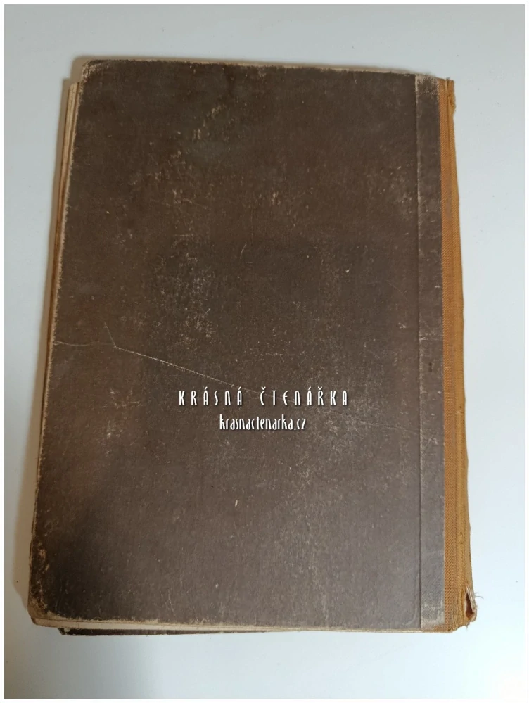 WIR FANGEN AN – Fibel (Wenzel R. Richter a Franz Effenberger, il. Kostial Karl)(Slabikář, Liberec, nacismus)