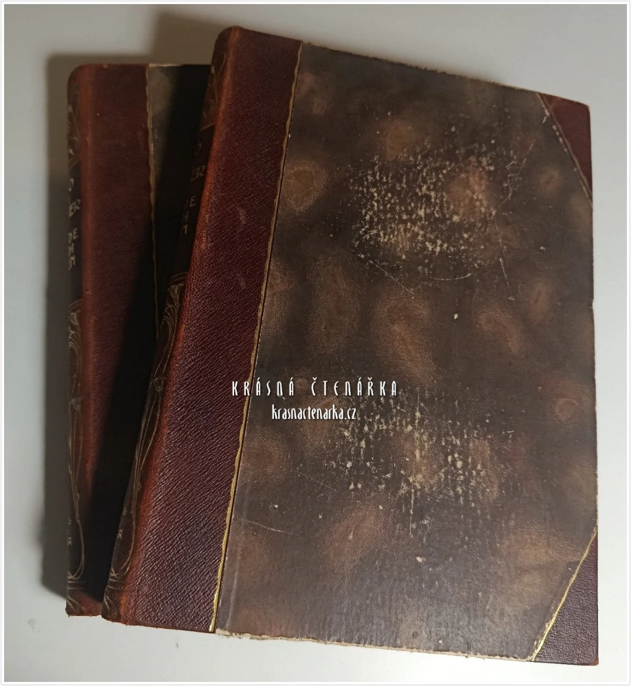 GESCHICHTE DER FREMDEN LITERATUREN I.-II. (Leixner, Otto von) (Dějiny světových literatur)