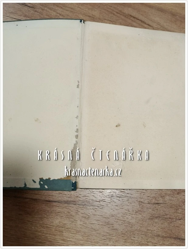 GRUNDLAGEN FÜR DAS BAUEN IN STADT UND LAND mit besonderer Rücksicht auf den Wiederaufbau in Ostpreußen, II. Band (Steinmetz Georg) (Základy stavby ve městě i na venkově se zvláštním zřetelem na rekonstrukci ve Východním Prusku)