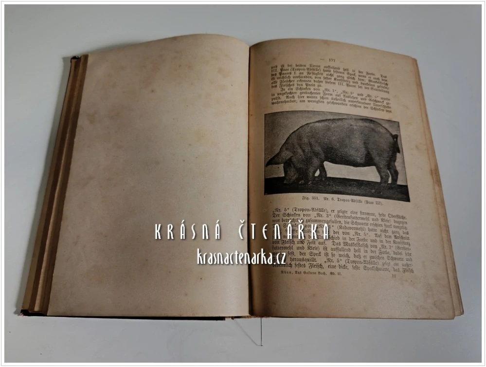 DAS GOLDENE BUCH DES LANDWIRTES über Pflege, Ernährung und Zucht, sowie Entstehung, Verhütung und naturgemässe Heilung der Krankheiten (Rhan Cäsar) (ZLATÁ KNIHA FARMÁŘE o péči, výživě a chovu)