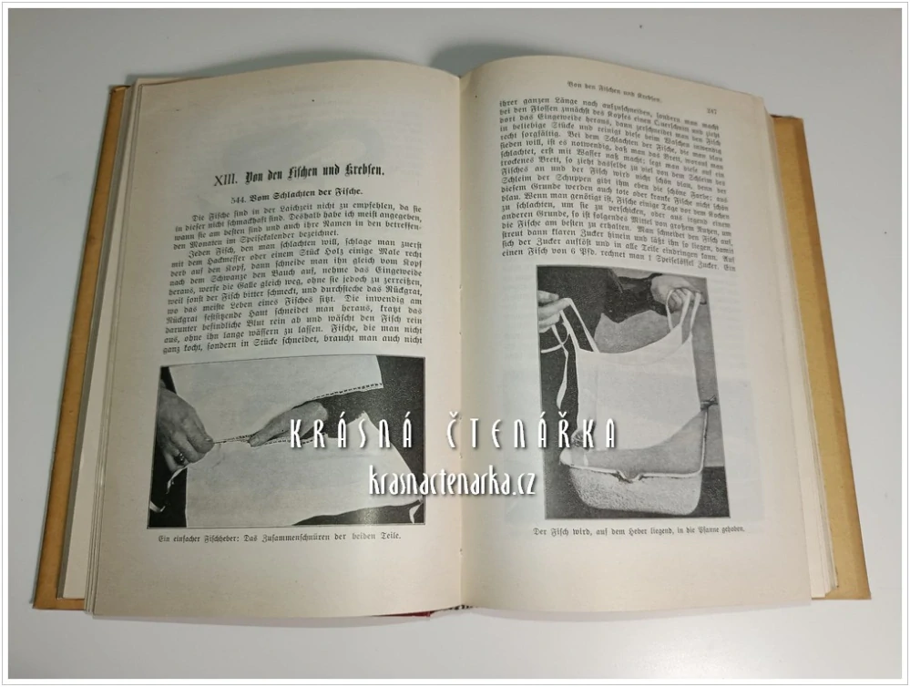 DAS BESTE BÜRGERLICHE KOCHBUCH, vorzüglich für das Haus berechnet (Allestein Emma) (Kuchařka)