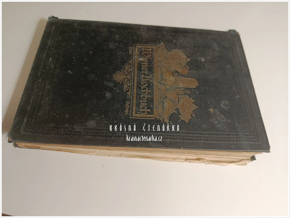 WIENER KOCH- UND WIRTHSCHAFTSBUCH für den bürgerlichen Haushalt (Amalie von Grünzweig) | Vídeňská kuchařka pro měšťanskou domácnost