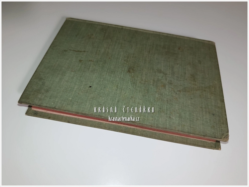 HANDBUCH DER GALVANOPLASTIK oder der elektro-chemischen Metallüberziehung in allen ihren Anwendungsarten (Taucher Konrad) | Galvanoplastika a elektrochemické pokovování kovů