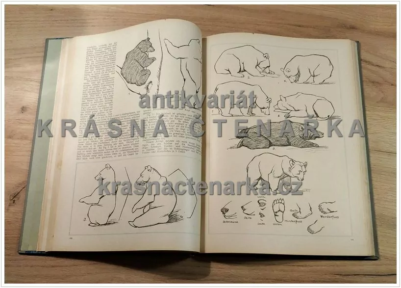 DIE KUNSTSCHULE, Jahrgang IV.