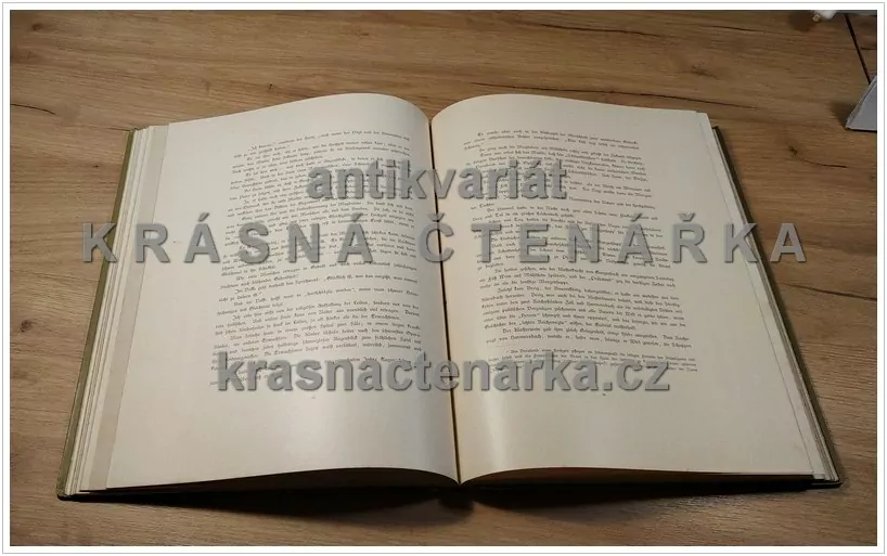 DER VOGT AUF MÜHLSTEIN (Eine Erzählung aus dem Schwarzwald) (Hansjakob Heinrich, il. Hafemann Wilhem)