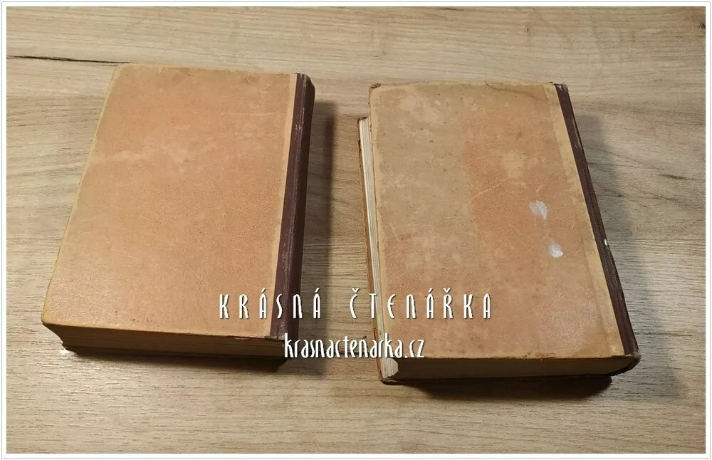 HÖFERS TASCHENBUCH FÜR BERGMÄNNER I., II. (Hornictví)  (Höfer Hans)