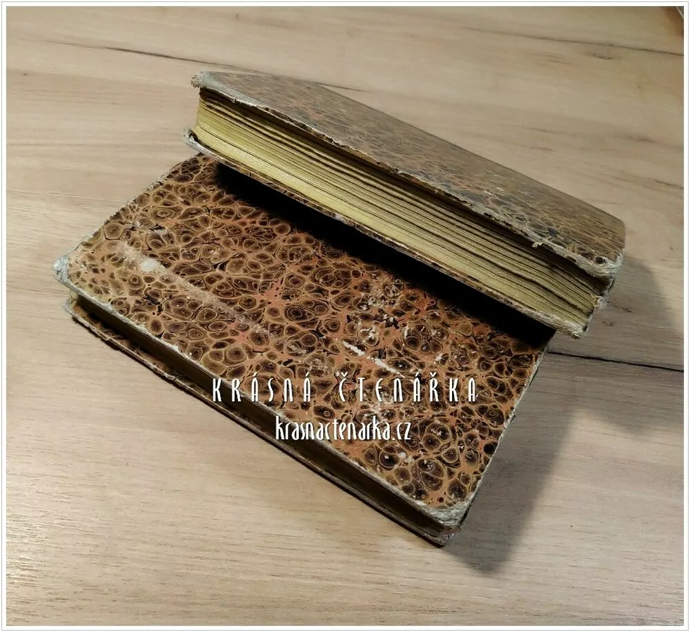 POPSÁNÍ ŽIWOTA A SKUTKŮ SWATÝCH A SWĚTIC BOŽÍCH (Dle Michala Ginzla a Františka Deinla ) ( Pohořelý M.)