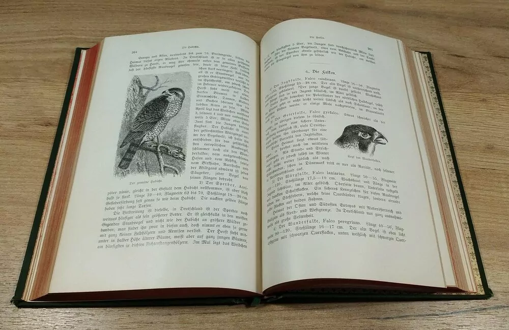 WEIDMANNS PRAKTIKA zu Holz, Feld und Wasser (myslivost, lovectví) (Dombrowski von Ernst Ritter)