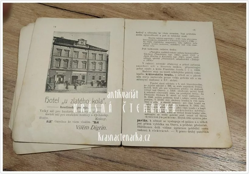 PRŮVODCE PO KRÁL. MĚSTĚ PÍSKU A JEHO OKOLÍ (Brandejs Bedřich)