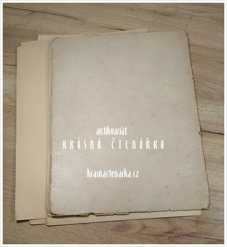 REVOLUČNÍ PRAHA, 12 původních litogafií (Holler Josef)