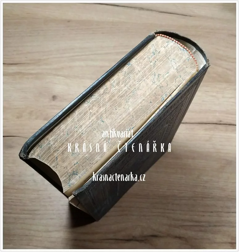 DIE BIBEL OBER DIE GANZE HEILIGE SCHRIFT DES ALTEN UN NEUEN TESTAMENTS  (překlad Luther Martin, 1893)