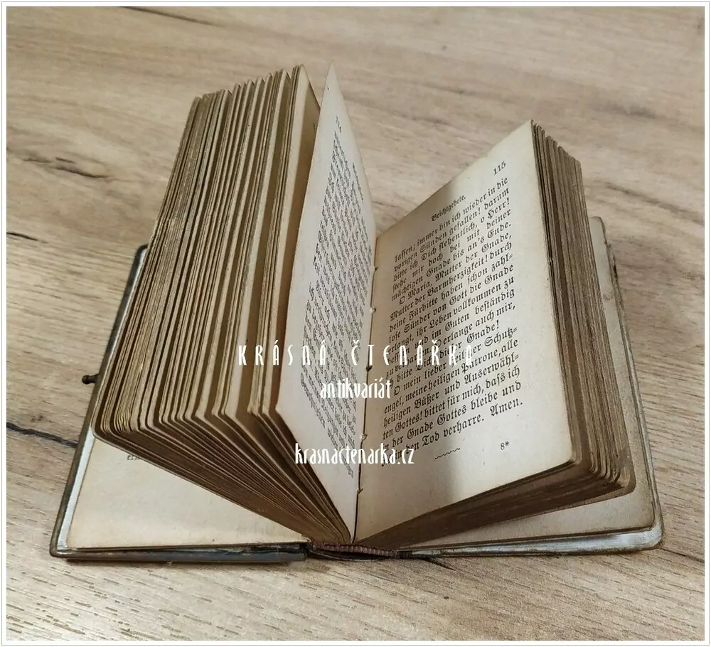 AVE MARIA ! (Modlitební kniha)