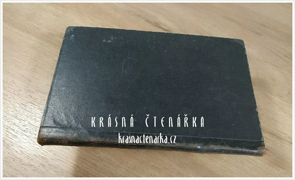 STRUČNÁ NAUKA O BARVÁCH A JICH HARMONII (Kozel Václav)