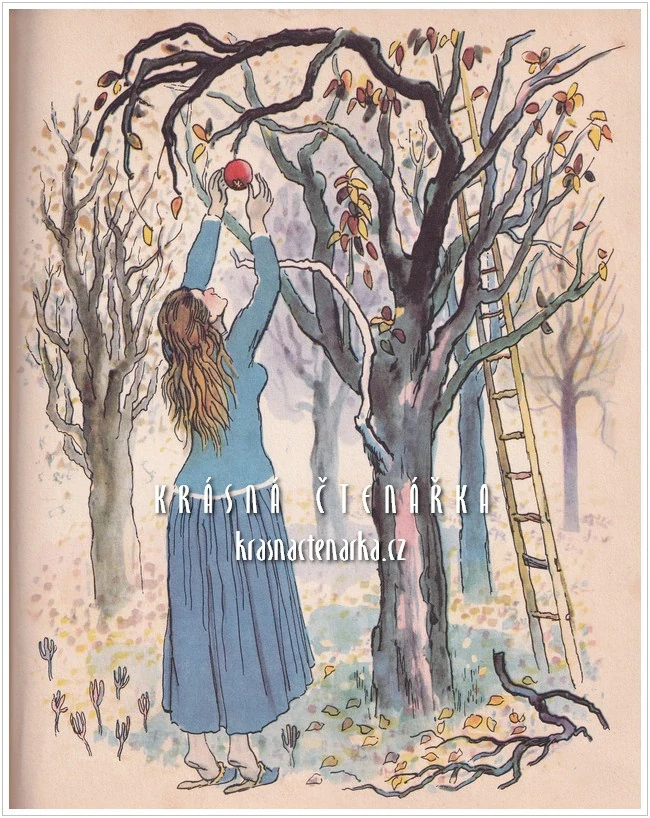 PRINCEZNA SE ZLATOU HVĚZDOU NA ČELE (Němcová Božena, il. Karel Václav)