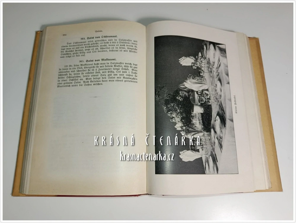 DAS BESTE BÜRGERLICHE KOCHBUCH, vorzüglich für das Haus berechnet (Allestein Emma) (Kuchařka)