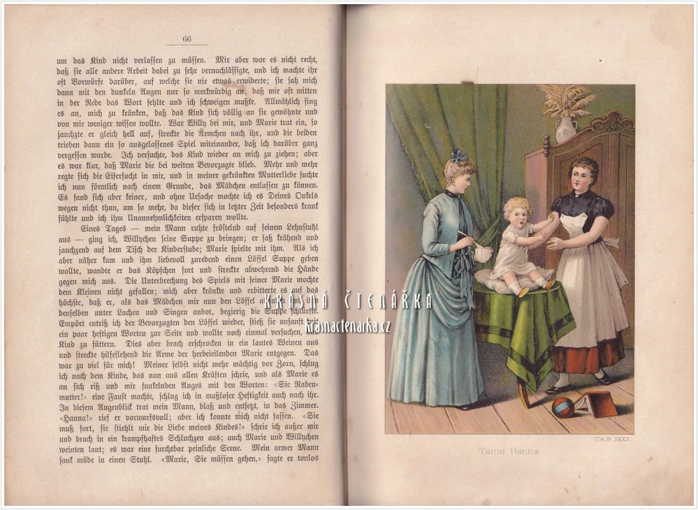 TÖCHTER - ALBUM, Unterhaltungen im häuslichen Kreise zur Bildung des Verstandes und Gemütes der heranwachsenden weiblichen Jugend 1884 (Thekla von Gumpert)