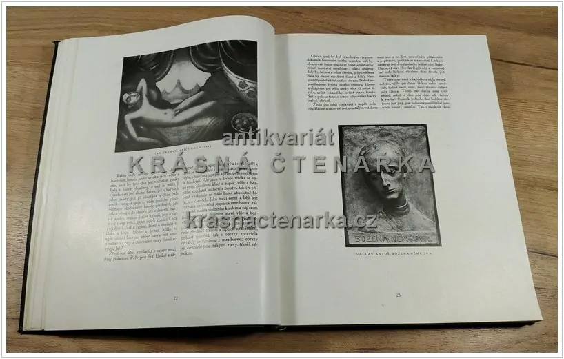 VOLNÉ SMĚRY 1921-1922, Umělecký měsíčník