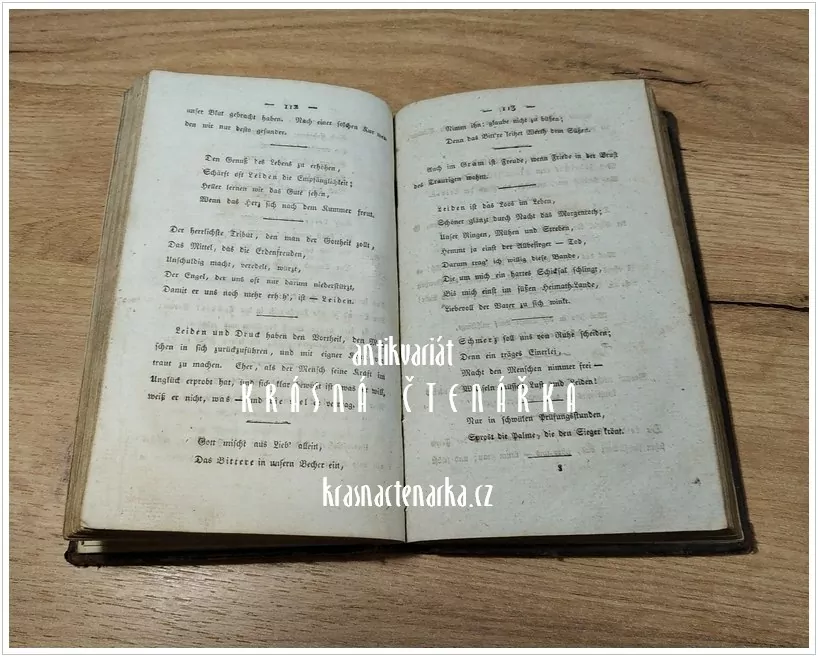DIE WEISHEIT MEINE FÜHRERIN (Fuhrmann Wilhelm David)