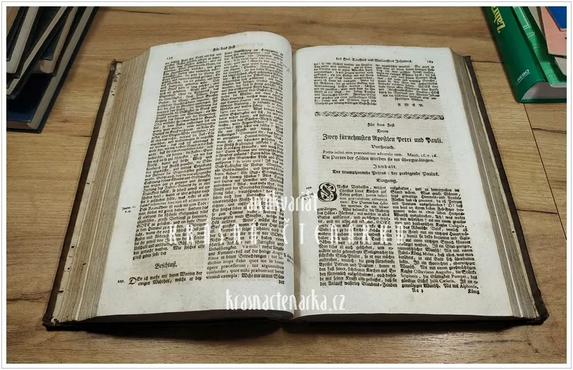 CONCIONATOR PANEGYRICO-MORALIS (Mayr Victurus)