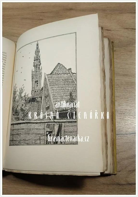 OLD DUTCH TOWNS AND VILLAGES OF THE ZUIDERZEE (Tuyn W. J., il. Nieuwenkamp / Veldheer)