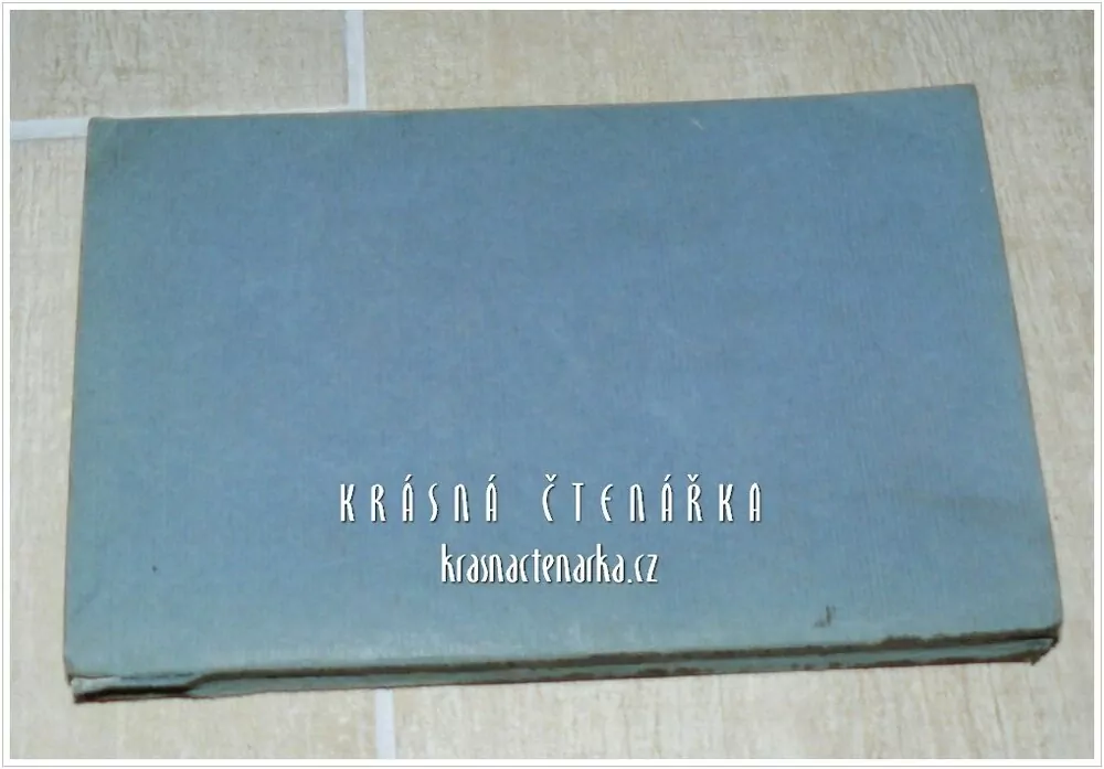 RATGEBER FÜR ANFÄGER IM PHOTOGRAPHIEREN (Lehrbuch für Amateurphotographen)(David Leopold)