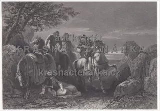 THE FLIGHT OF THE EARL OF TYRONE (Warren/ Rogers / Tallis, ocelorytina)