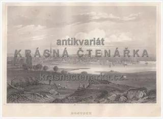 ROSTOCK(ocelorytina)