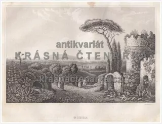 NIZZA(Metzeroth, ocelorytina)