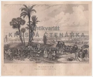 MAROCCO(Zechmayer / Haase, ocelorytina)