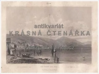 ZUG GEGEN DER RIGI (Archer / Haase /Griffiths, ocelorytina)