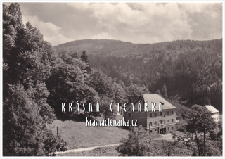 STARÉ MĚSTO - VELKÉ VRBNO, Chata Olšanka
