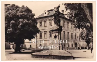 Zámek BENÁTKY NAD JIZEROU se sochou Panny Marie