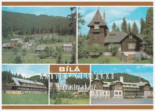 BÍLÁ