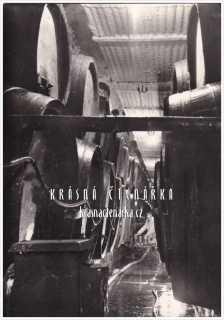 PLZEŇ, Pivovar Prazdroj, ležácké sklepy