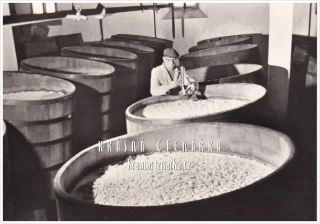 PLZEŇ, Pivovar Prazdroj, kontrola kvasného procesu ve "spilce"